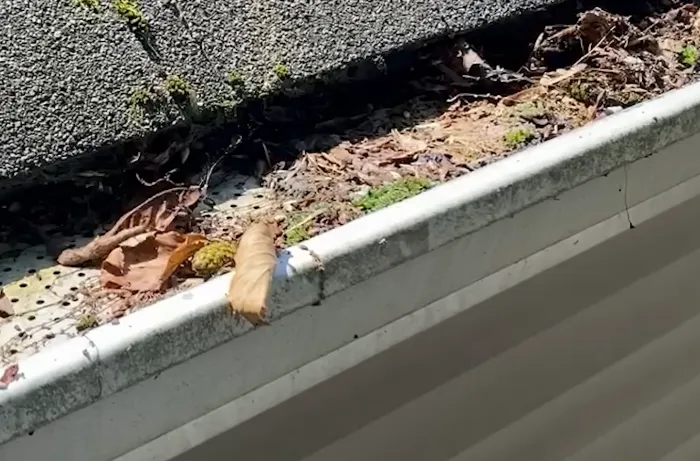 Gutter Whitening before, Brandon FL