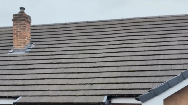 Roof shingles before soft washing, showing algae streaking