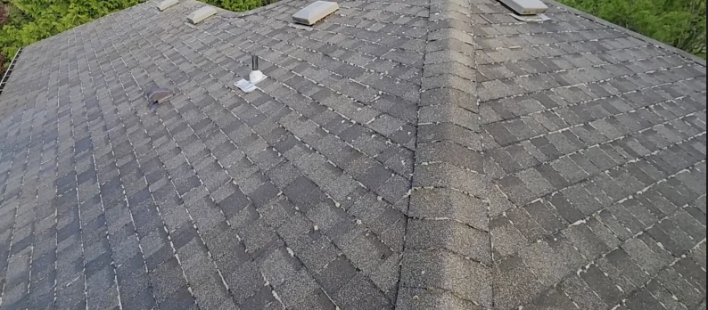 Roof affected with Gloeocapsa Magma algae streaking, Brandon FL